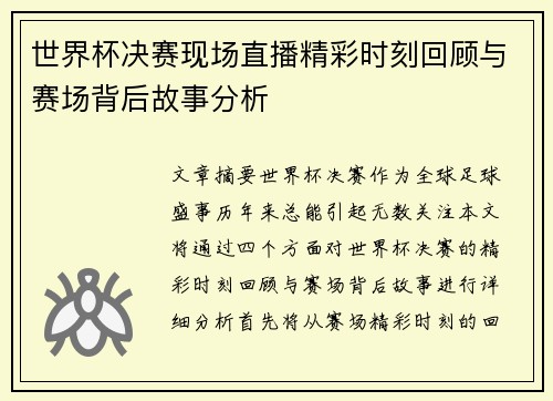 世界杯决赛现场直播精彩时刻回顾与赛场背后故事分析