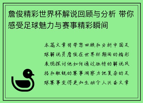 詹俊精彩世界杯解说回顾与分析 带你感受足球魅力与赛事精彩瞬间